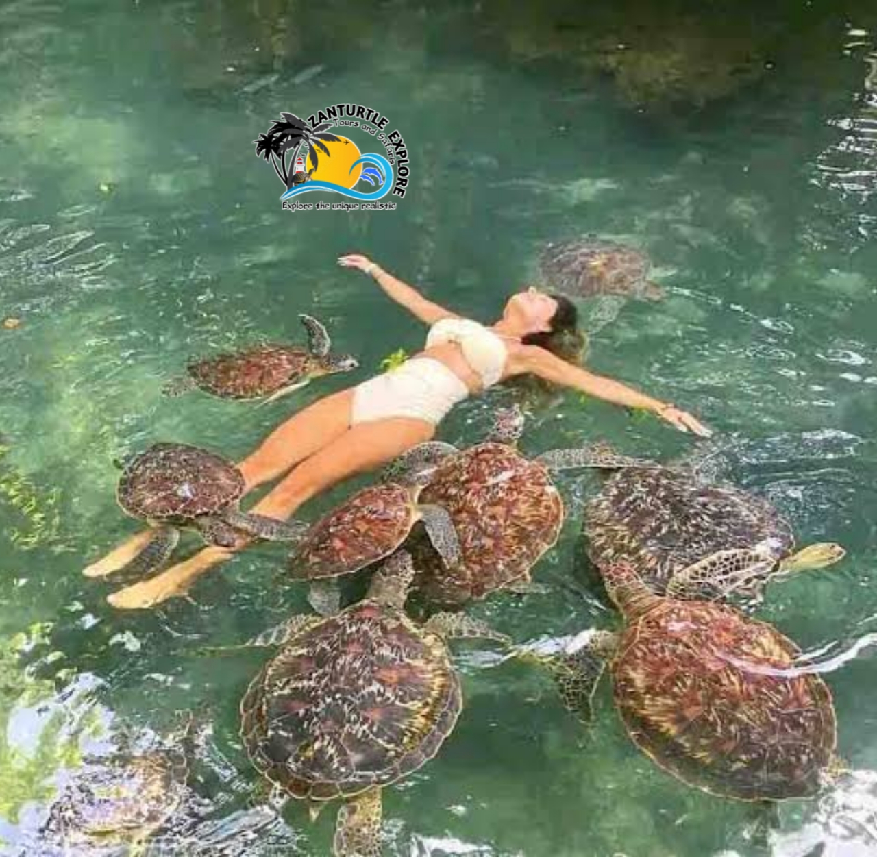 Baraka Natural Aquarium