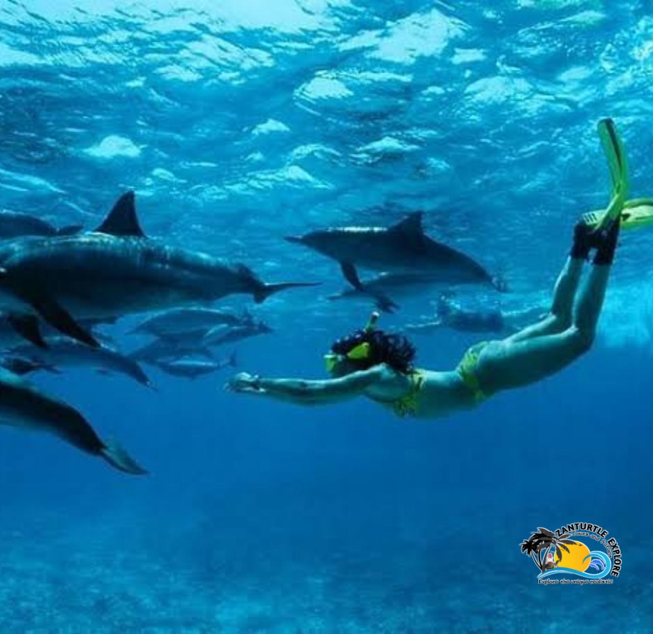 Mnemba Island Dolphins Tour