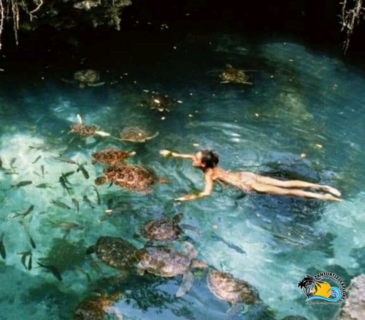 Baraka Natural Aquarium