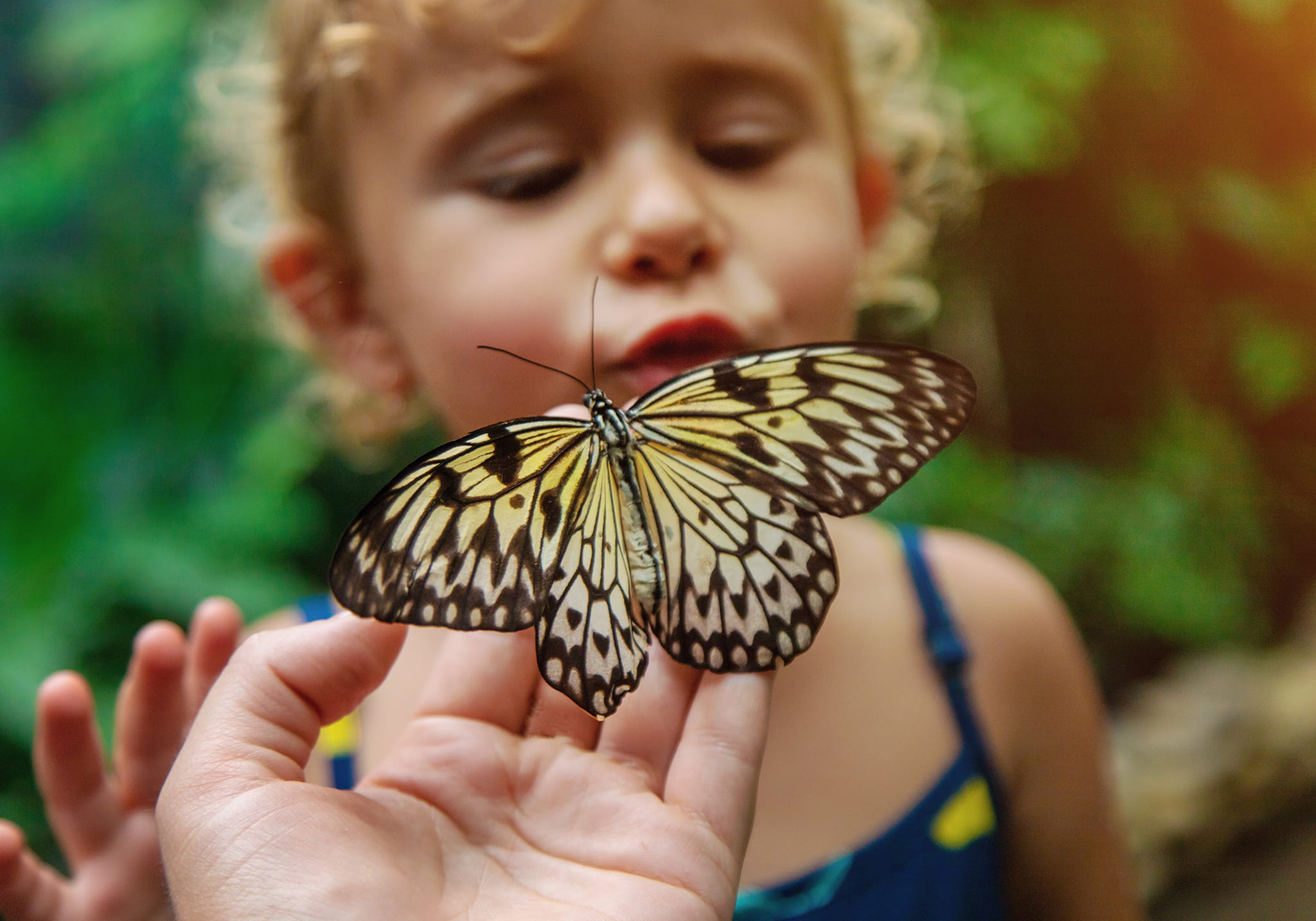 Zanzibar Butterflies Centre